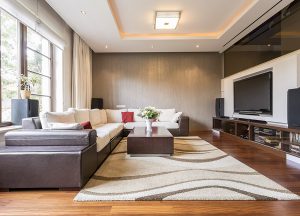 Modern-style living room flooded with light.